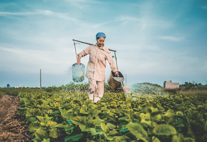 GaiaFood steunt lokale boeren in Vietnam